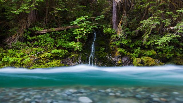 华盛顿，贝克山 - 斯诺夸尔米国家森林公园， 培根溪流