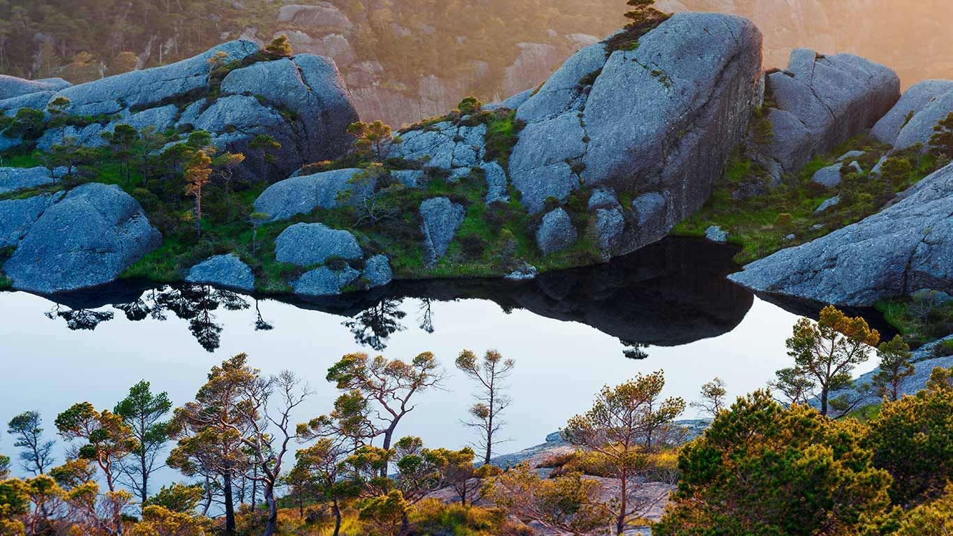 苏拉群岛上的苏格兰松树，松恩-菲尤拉讷，挪威