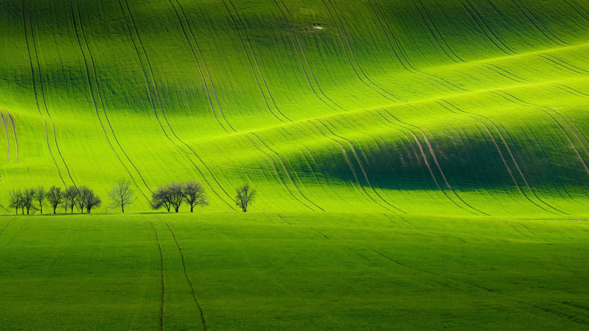 基约夫附近的南摩拉维亚风景，捷克共和国