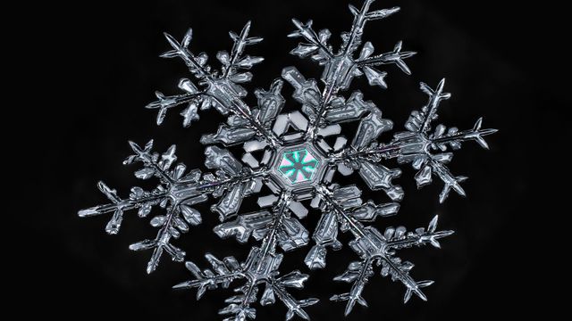 一片雪花