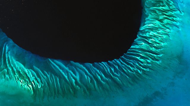 巴哈马的沙滩和海藻卫星图