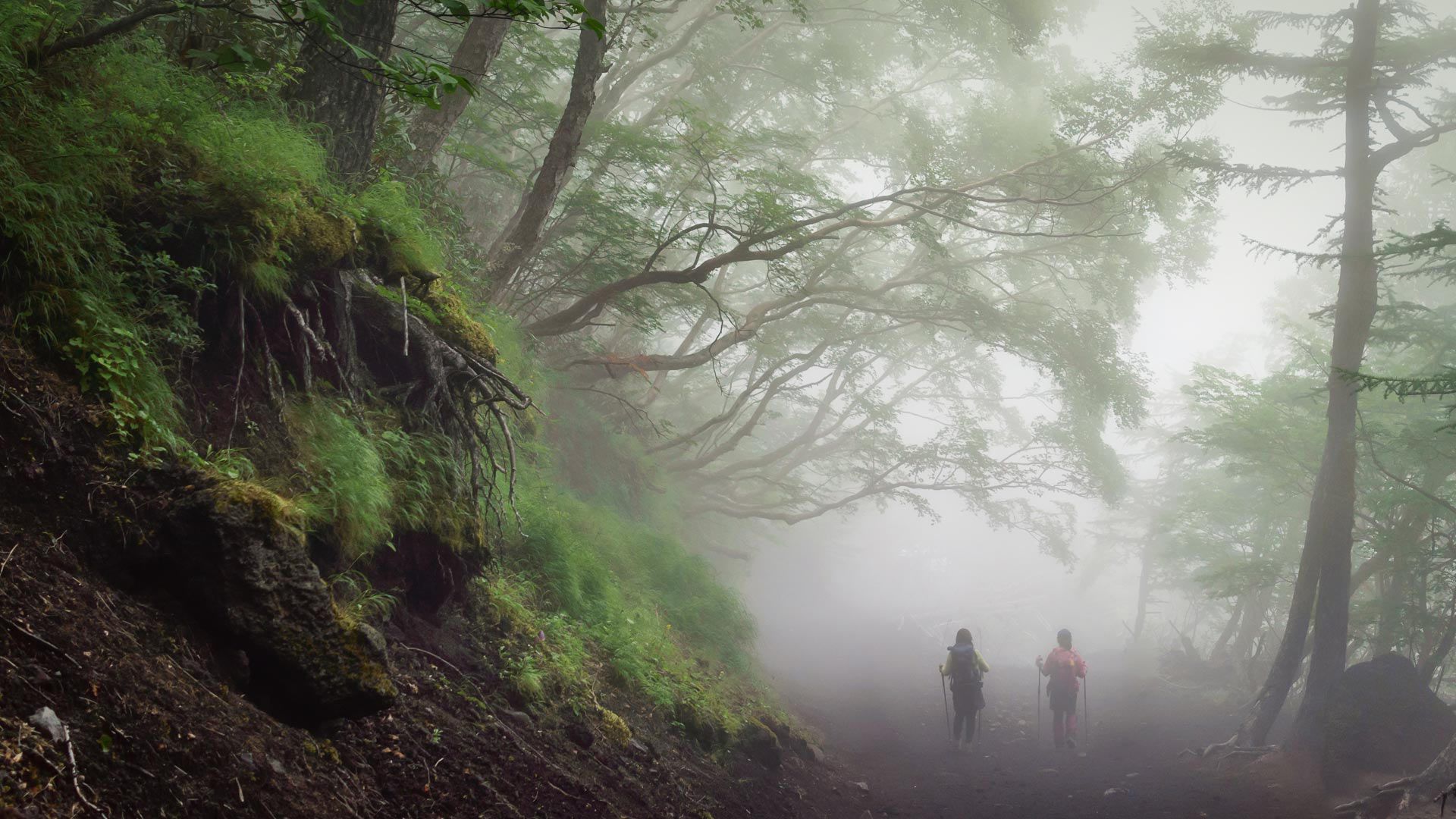 沿着富士山的吉田步道徒步旅行，日本