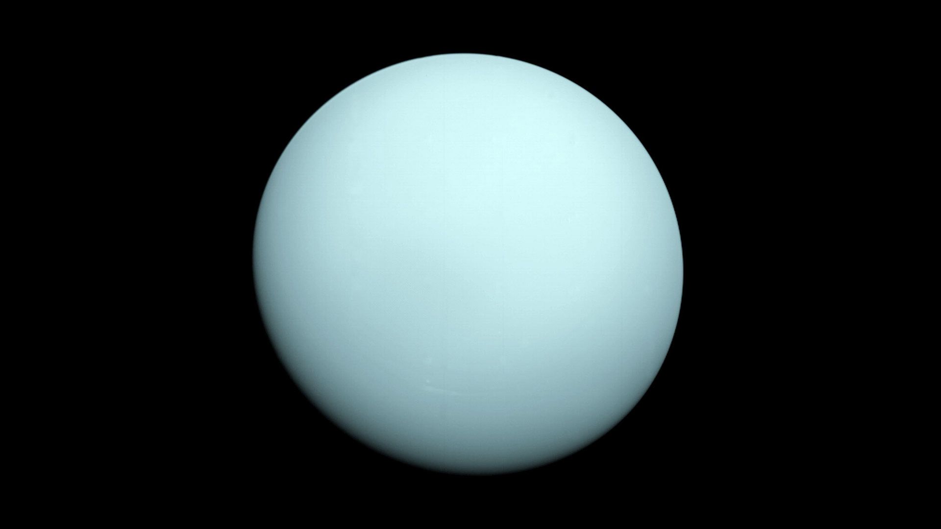 20190313