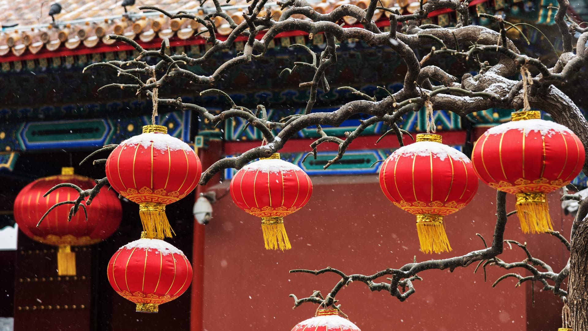 新年快乐