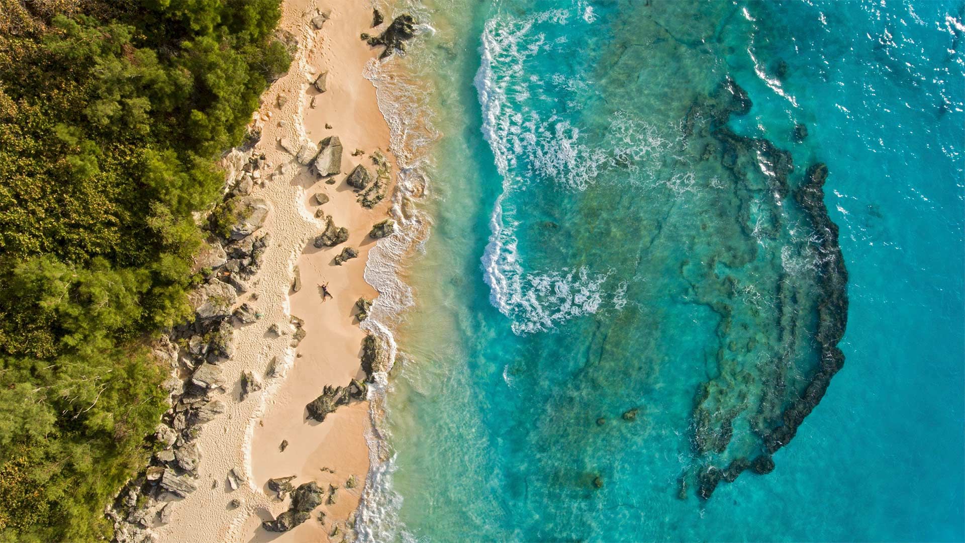 It’s Bermuda’s big day