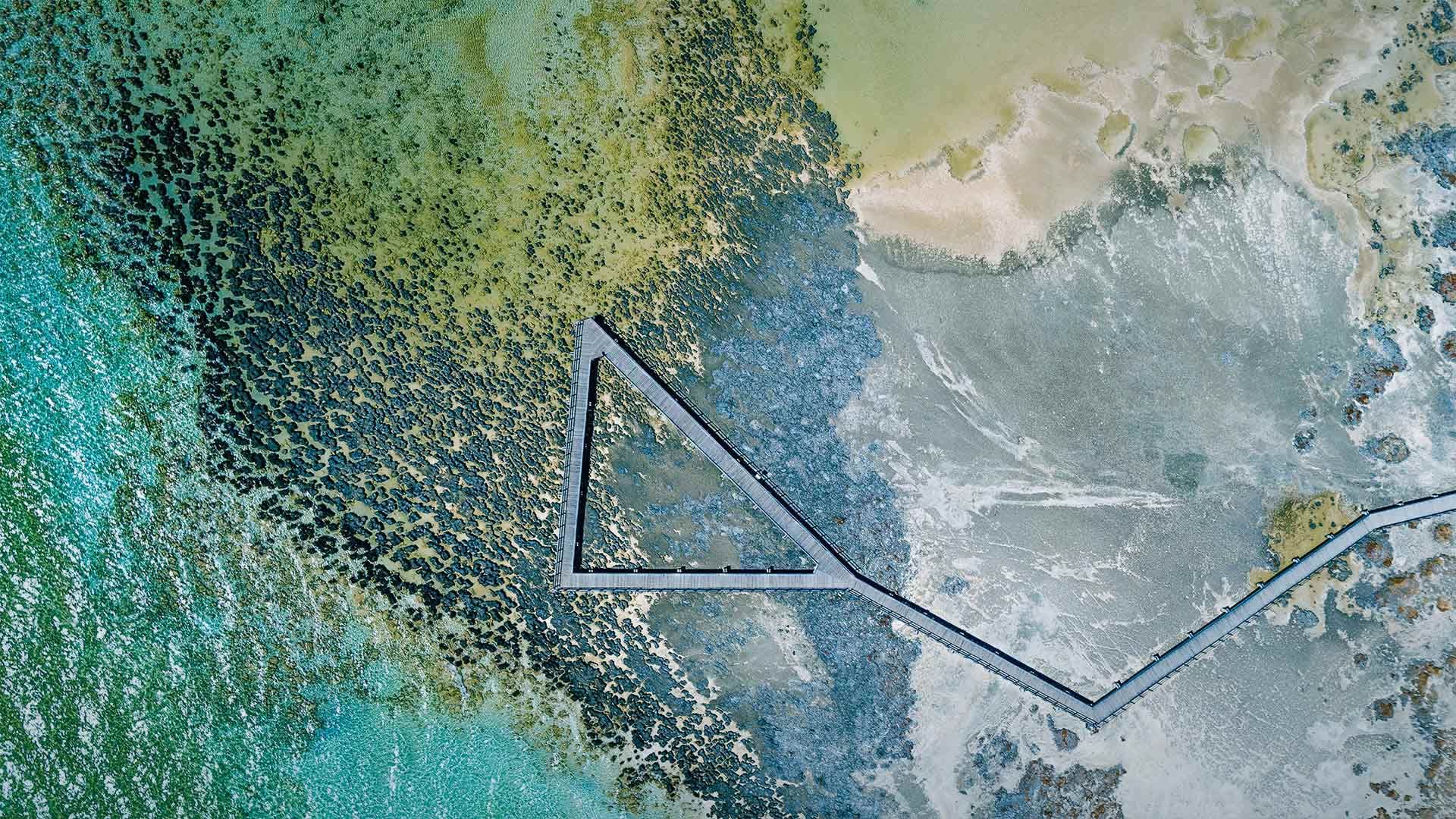 “哈梅林游泳池海洋自然保护区”