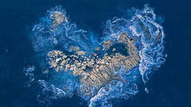今天是情人节。