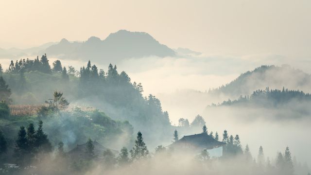清明节又叫踏青节