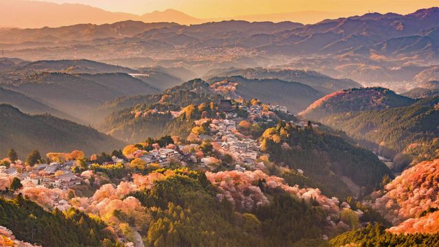 3万棵樱花的吉野山