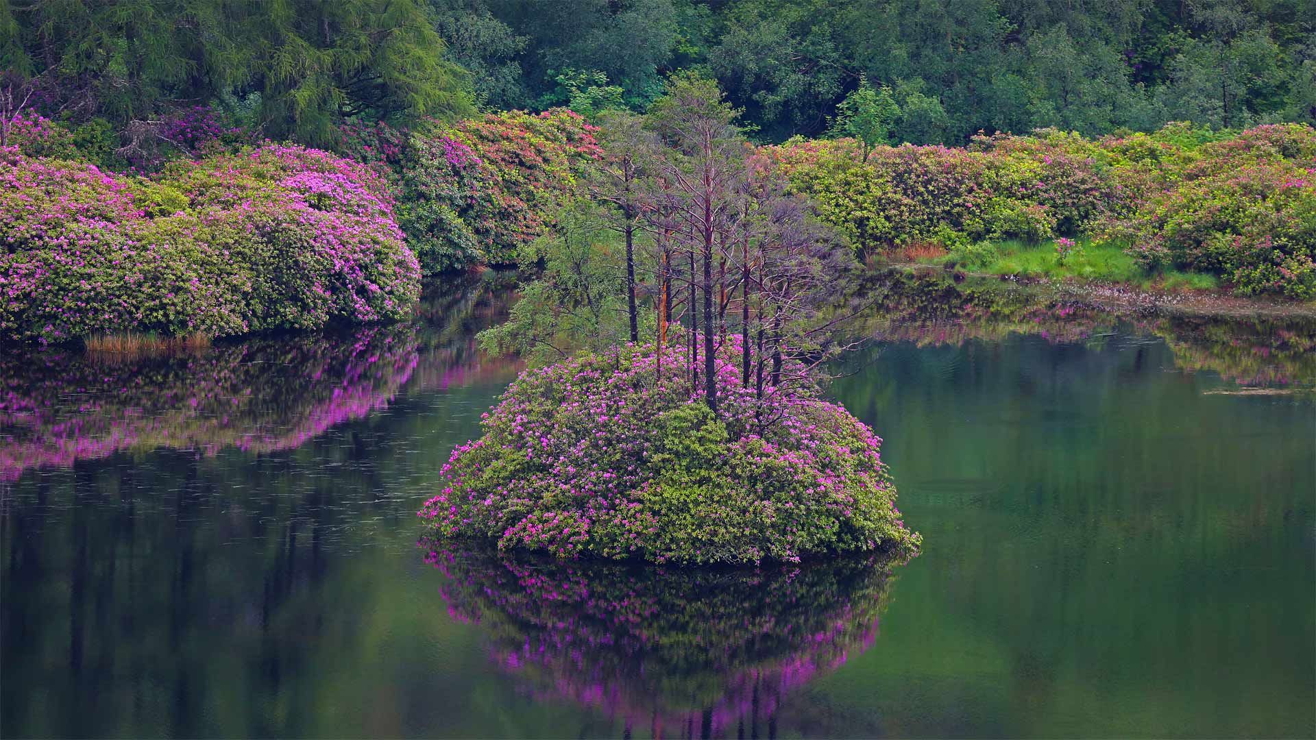 传说中的湖。“格伦埃蒂布的埃蒂布湖”苏格兰