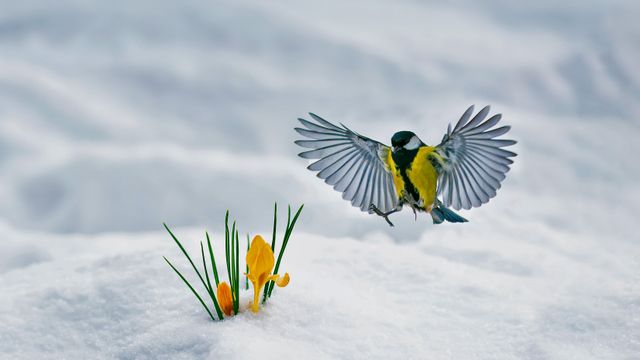 春天醒来了