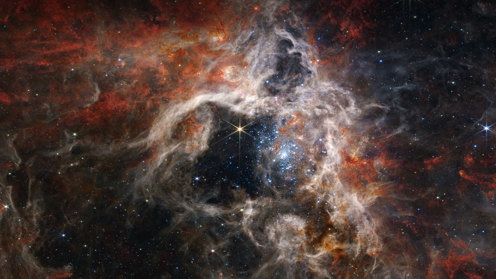 狼蛛星云