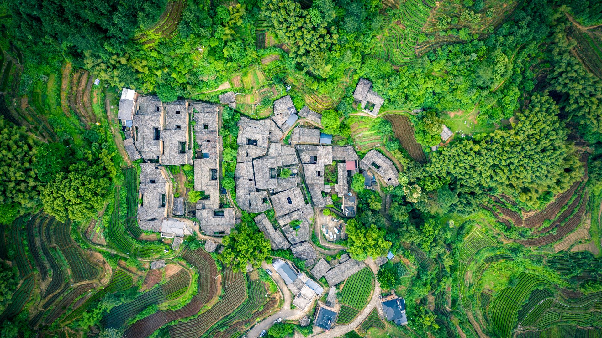 茶歇时光