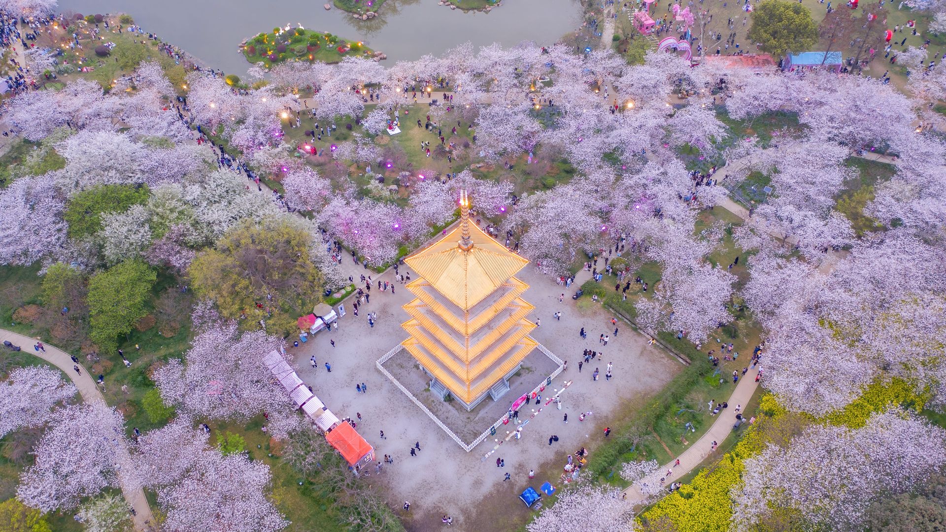 春天的形状